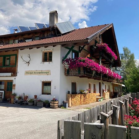 Oefnerhof Lägenhet Leutasch Exteriör bild