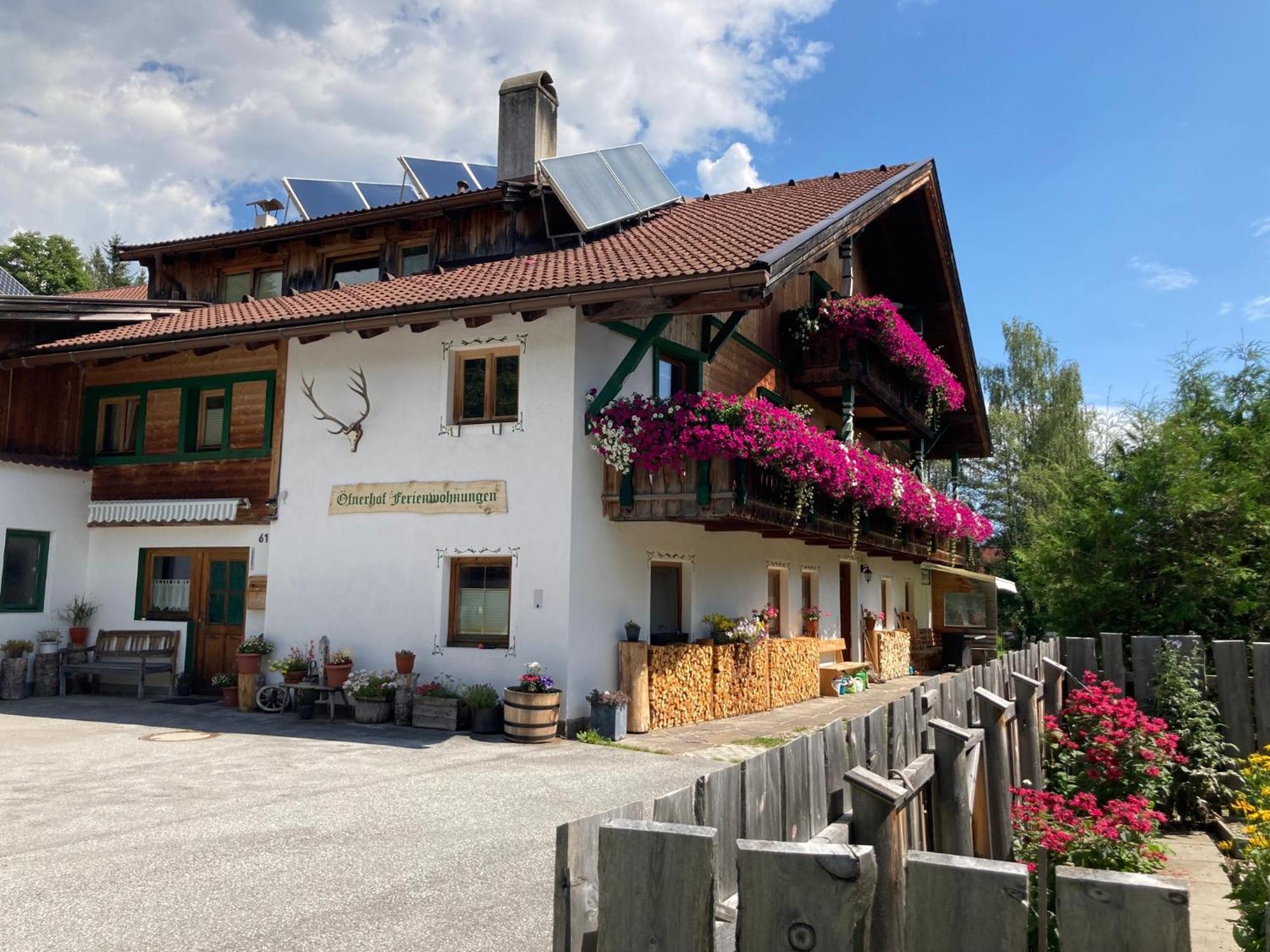 Oefnerhof Lägenhet Leutasch Exteriör bild
