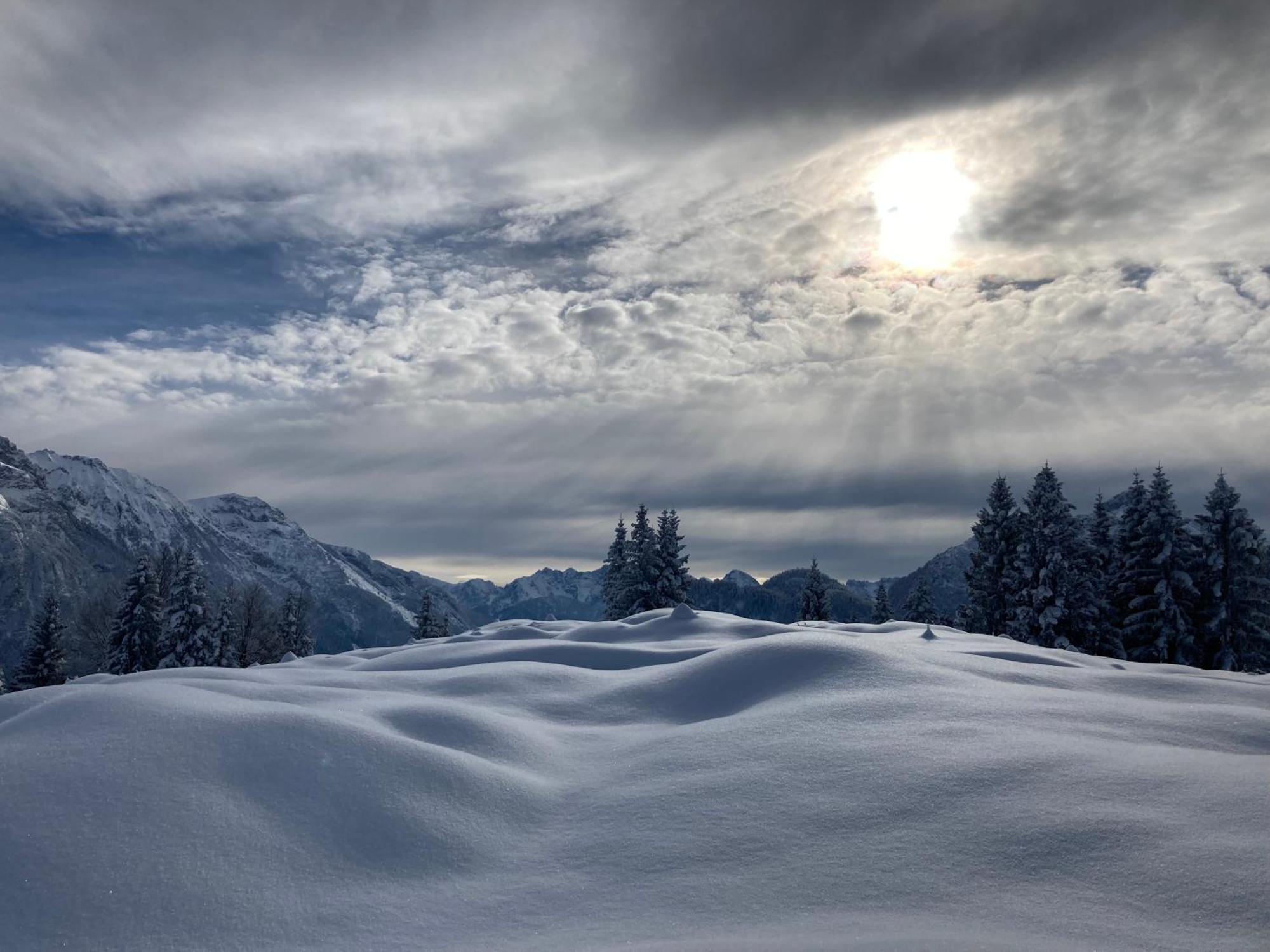 Oefnerhof Lägenhet Leutasch Exteriör bild