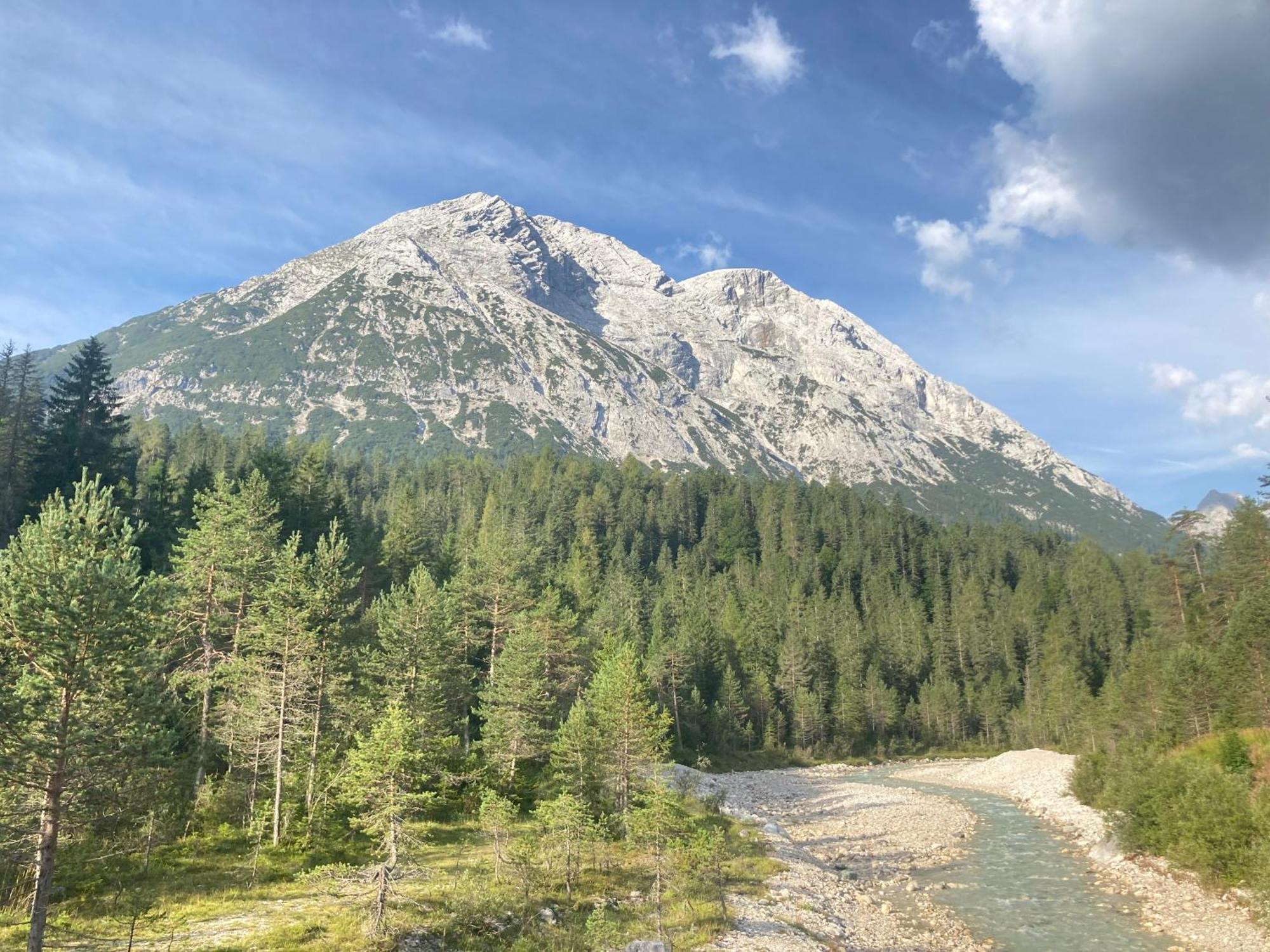 Oefnerhof Lägenhet Leutasch Exteriör bild