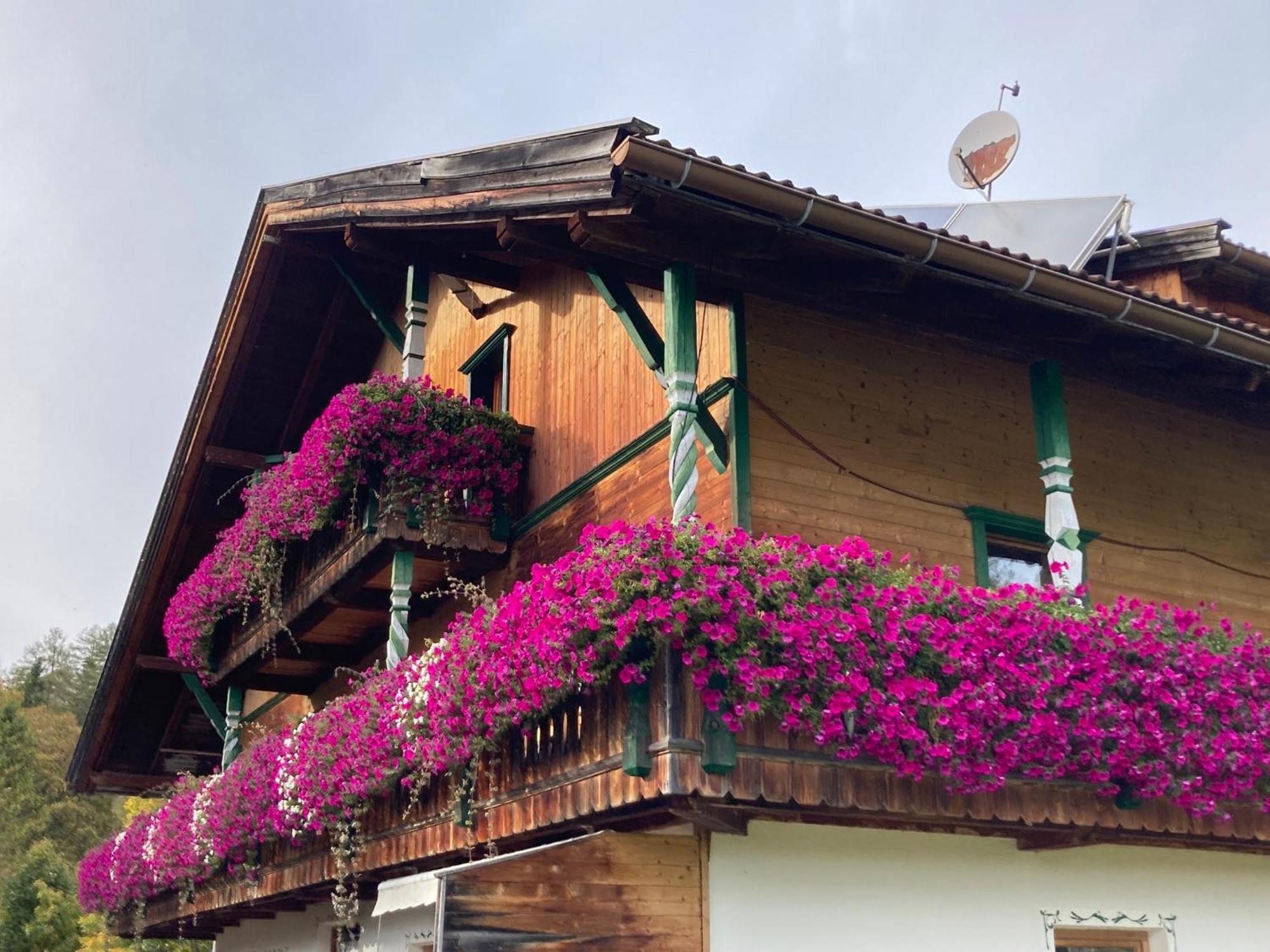 Oefnerhof Lägenhet Leutasch Exteriör bild