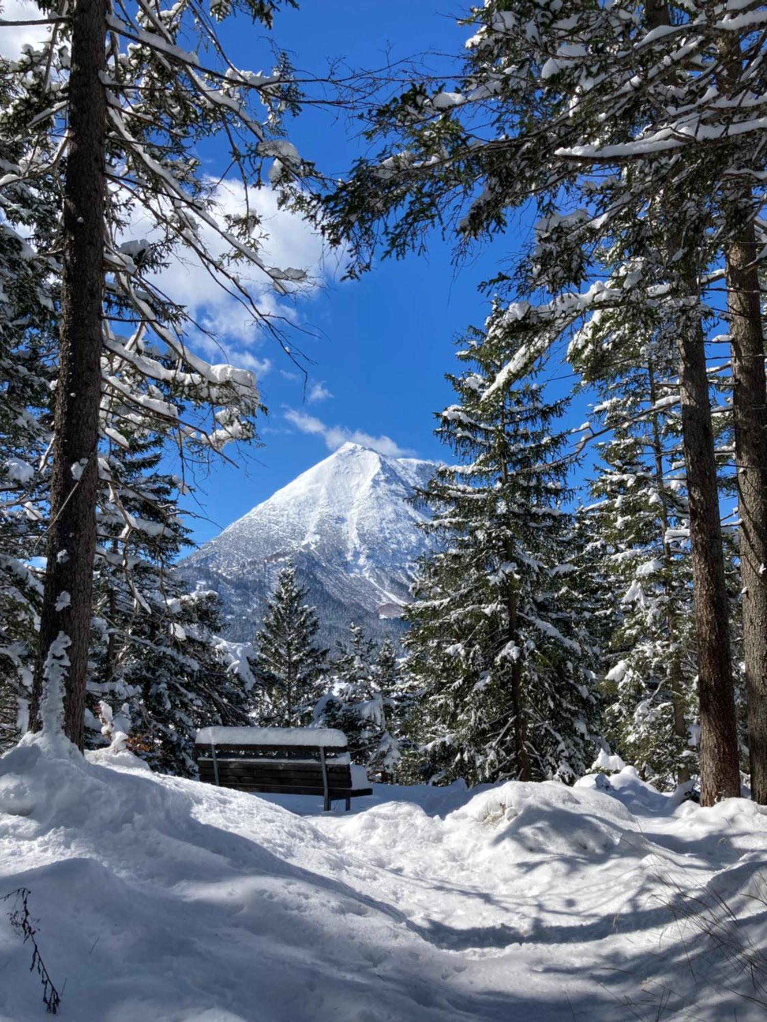 Oefnerhof Lägenhet Leutasch Exteriör bild